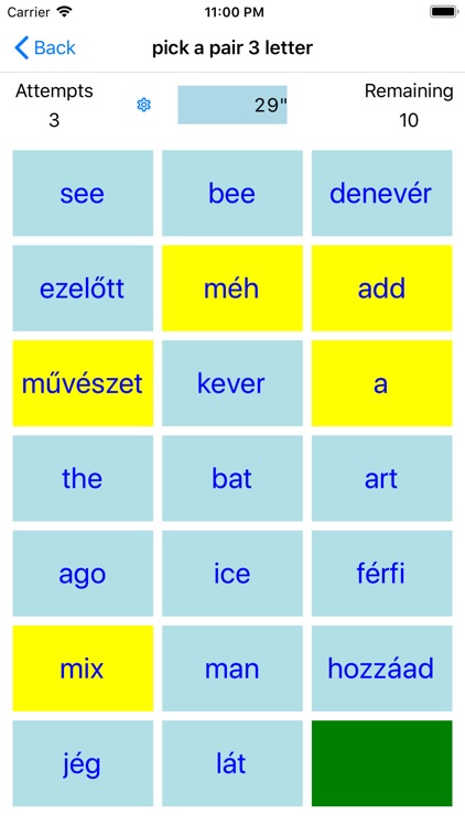 PickAPair Hungarian - English