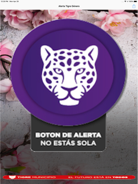 Screenshot #6 pour Alerta de Género Tigre