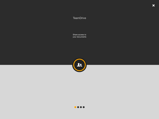 Screenshot #4 pour TeamDrive 5