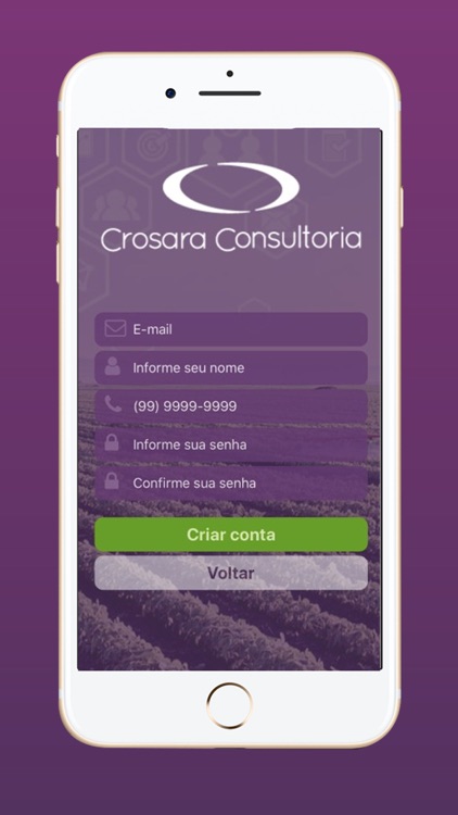 Crosara Gestão Financeira