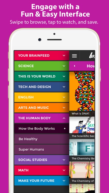 Brainfeed School Edition