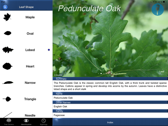 Tree Id identify UK trees iPad screenshot 5 - Reference app