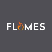 Flames Pizza And Kebab House. logo