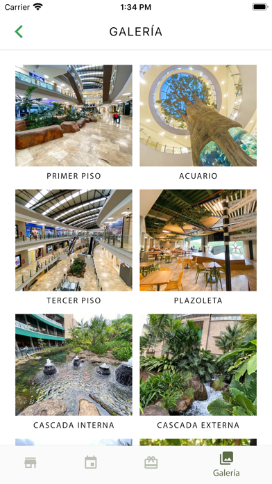 Screenshot #3 pour Primavera Urbana