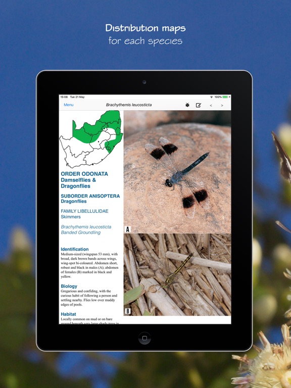 eInsects of South Africa iPad screenshot 6 - Reference app