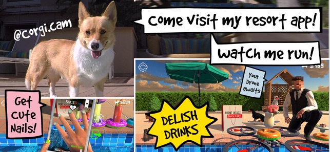 Front Jacuzzi Back Corgi #FJBC