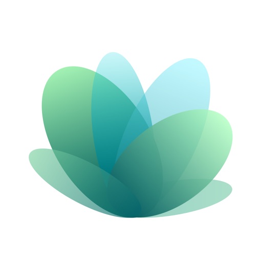 Plant Identifier - Leaf Snap