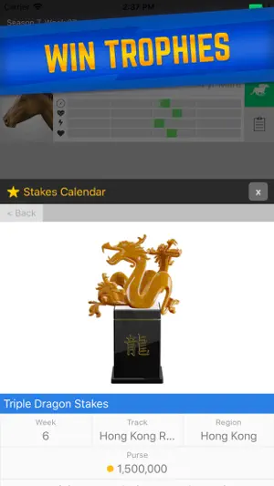 Stable Champions screenshot 3