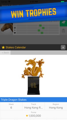 Stable Champions screenshot 3