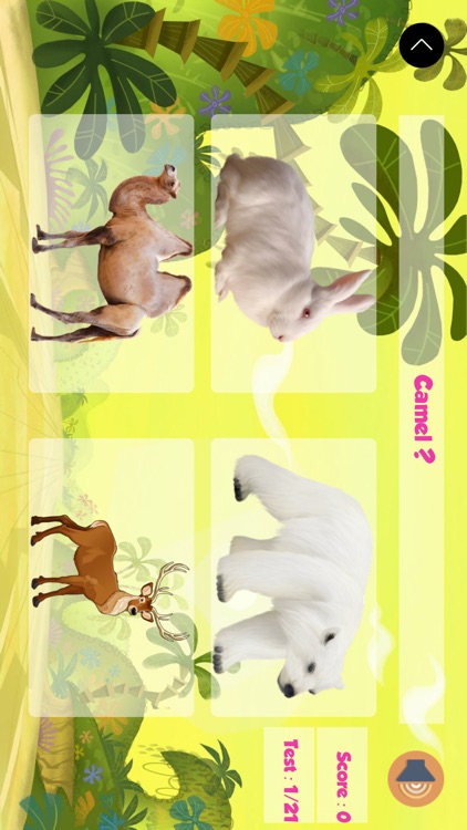 Learn about Animals for Kids screenshot-3