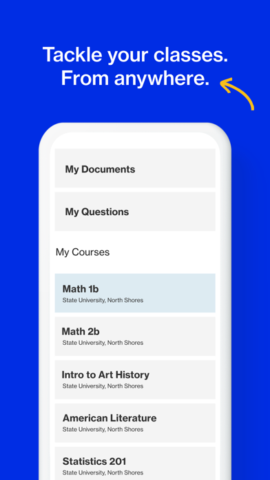 Course Hero: AI Homework Help Screenshot