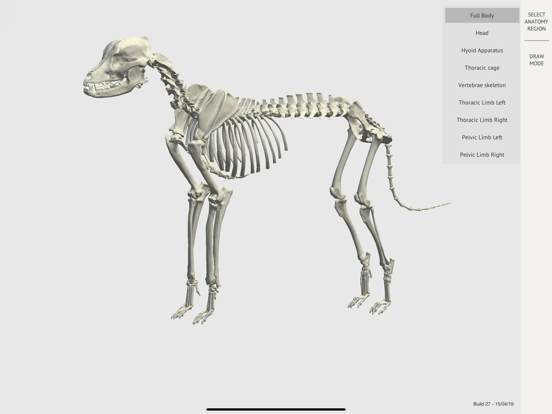 Screenshot #4 pour Dog Skeleton 3D Atlas