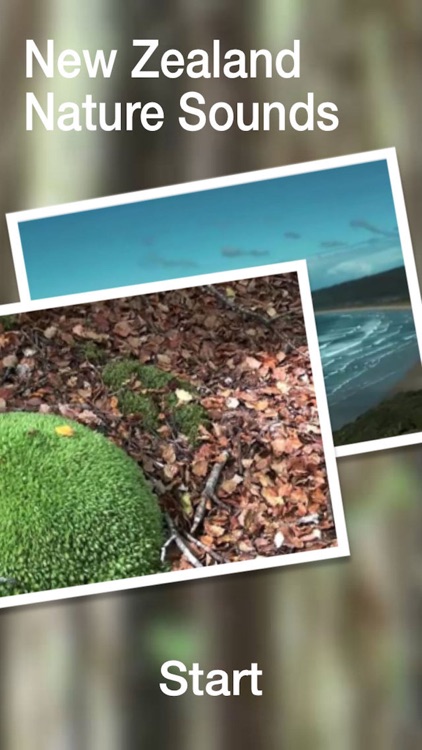 New Zealand Nature Sounds