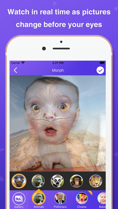 Pic Morph - Photo Face Swap Screenshot