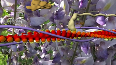 肌肉和分子马达在3D虚拟现实中 screenshot 3