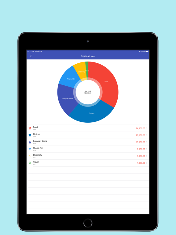 Household accounts - Moneytune iPad screenshot 5 - Finance app