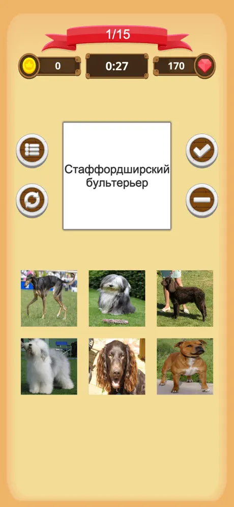 Собаки - Викторина