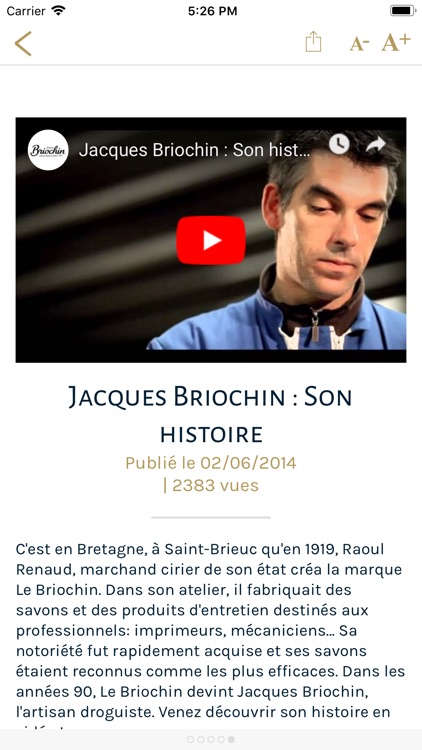 Le Briochin screenshot-4