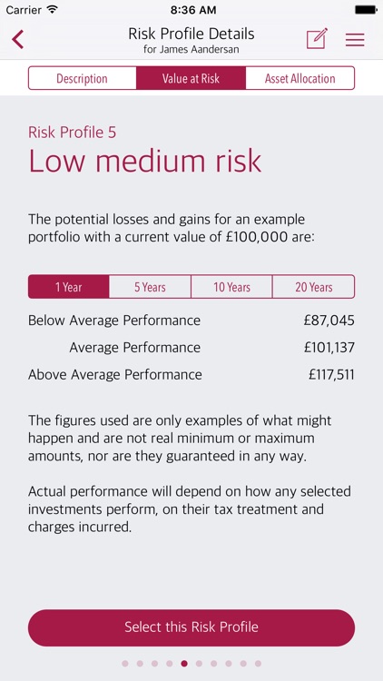 Dynamic Planner: Risk Profiler