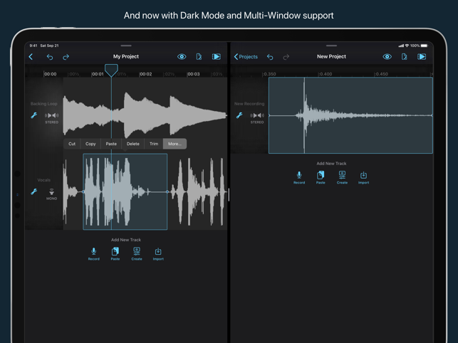 ‎Hokusai Audio Editor Capture d'écran