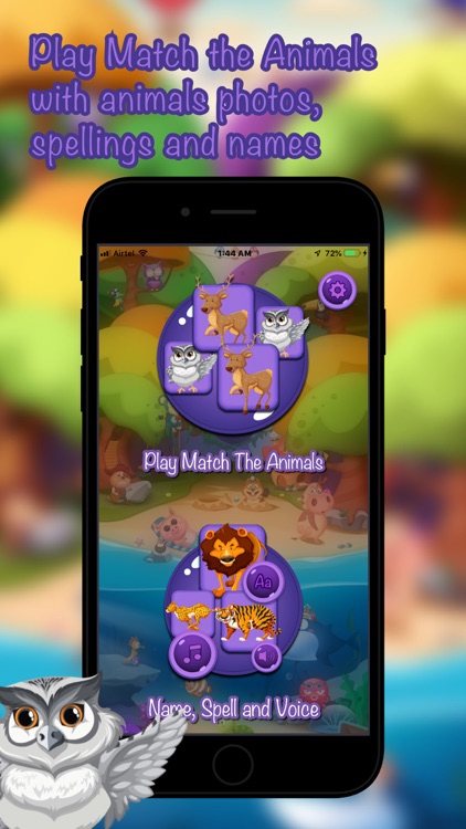 Animo - Animals Name Game