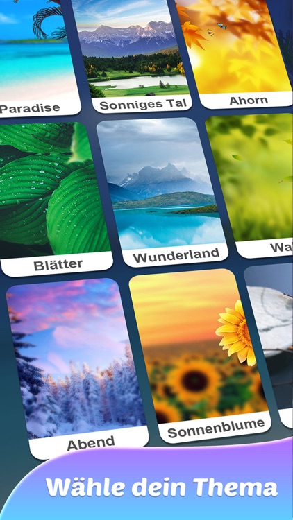 Wort Schau