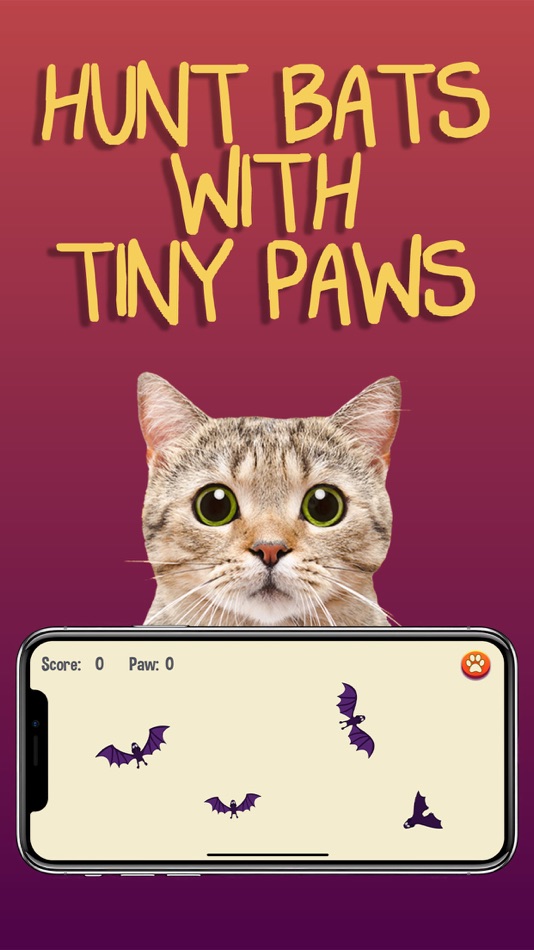 #5. Cat Games (iOS) 由: Mindsoft Technology