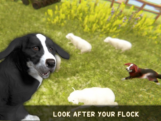 Screenshot #2 for Silly Sheep Run- Farm Dog Game