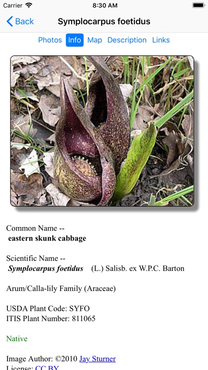 Pennsylvania Wildflowers