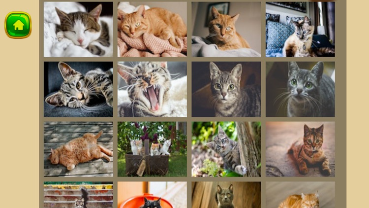 Magic Puzzle Animal screenshot-3