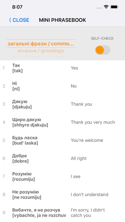 Learn Ukrainian words with ST screenshot-7