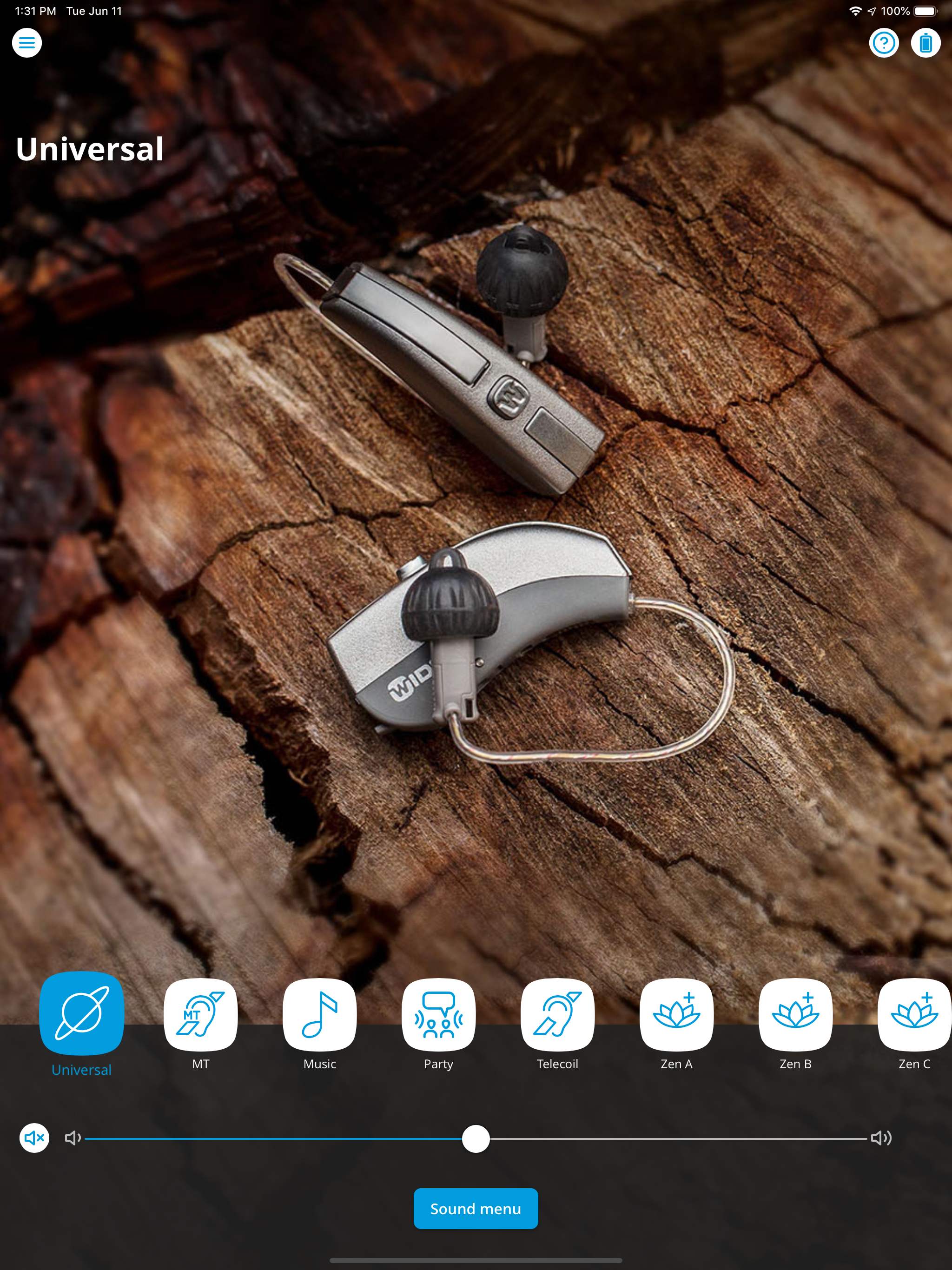 WIDEX EVOKE