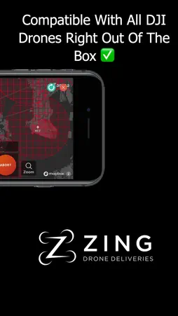 Zing Pilot screenshot 4