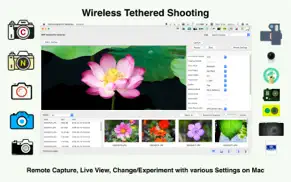 wifi control for cameras айфон картинки 2