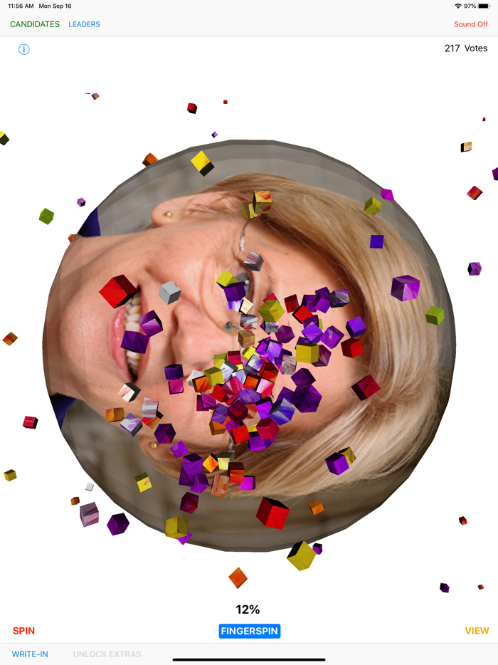 2020 Election Spinner Poll