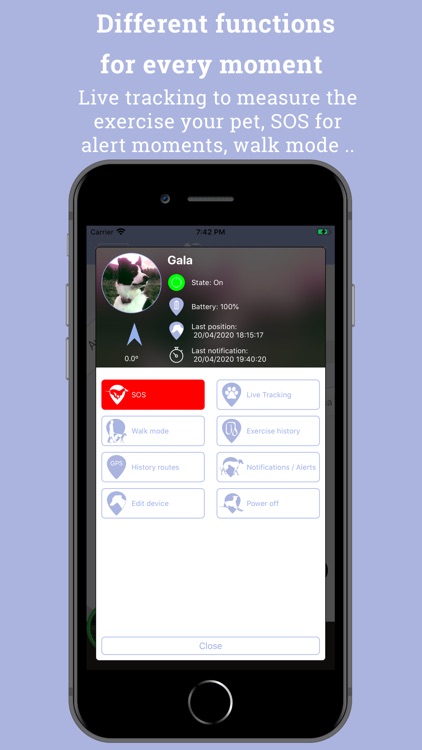 GPS Haciendo el galgo