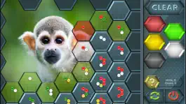 Game screenshot HexLogic - Zoo hack