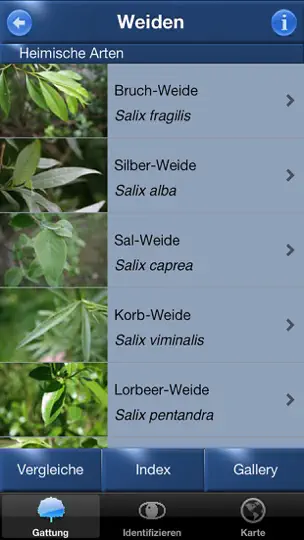 Screenshot von Baum Id Deutschland auf dem iPhone 3