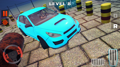 Real Drive and Park Sim screenshot 2