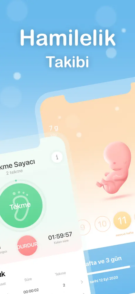 Hamilelik ve gebelik takibi