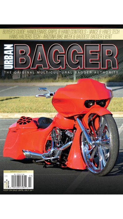 Urban Bagger screenshot-9