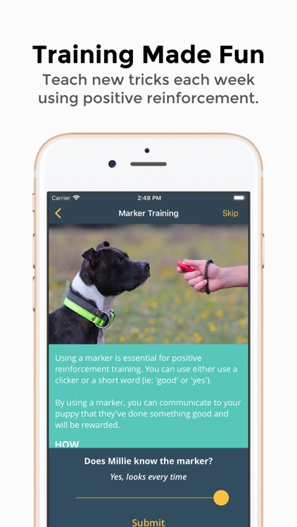 Social Puppy: Dog Training App