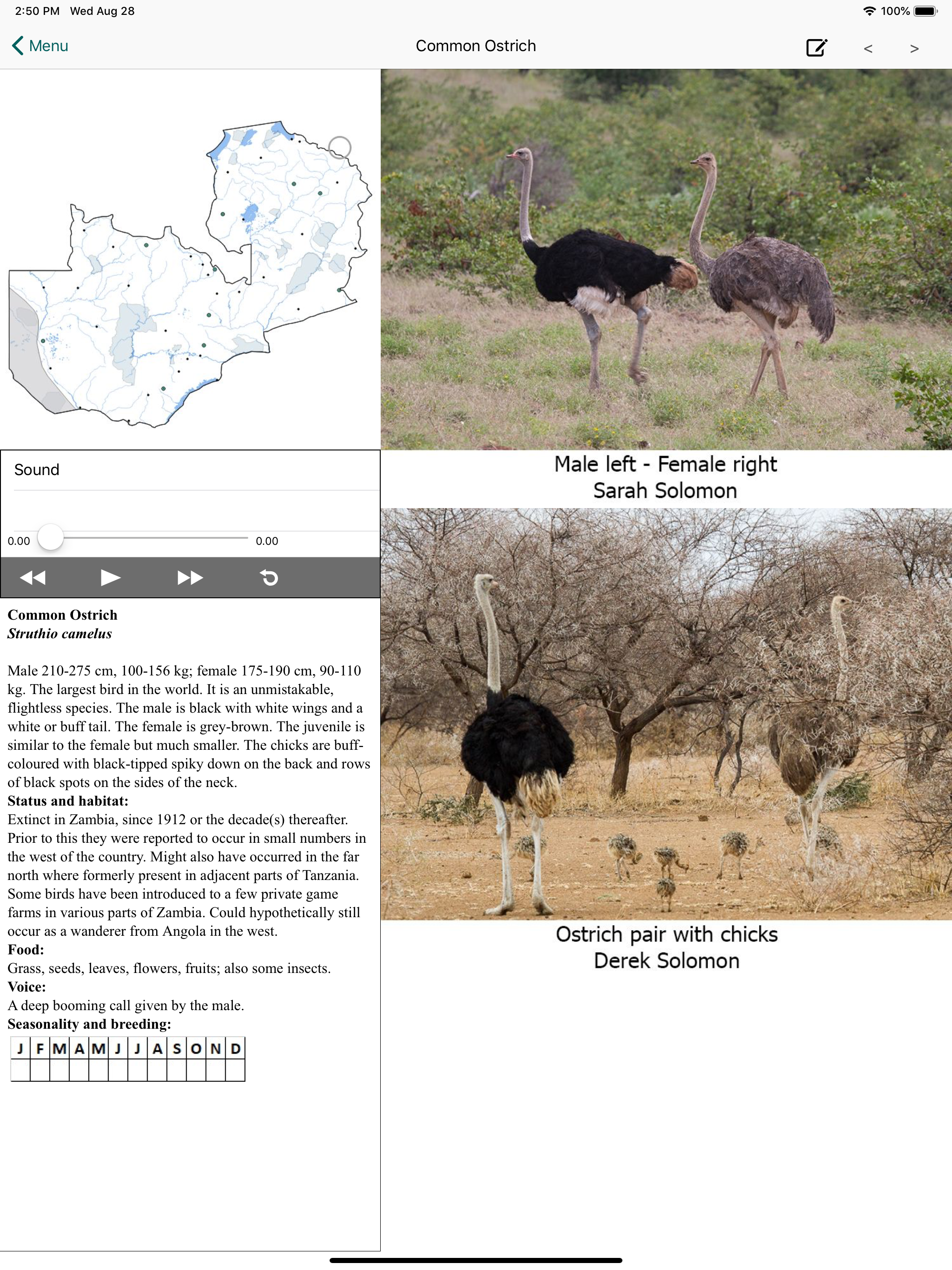 Birds of Zambia