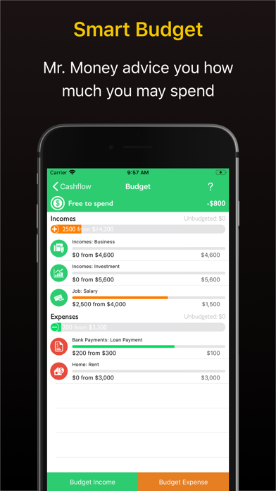 Mr. Money - Finance Manager Screenshot