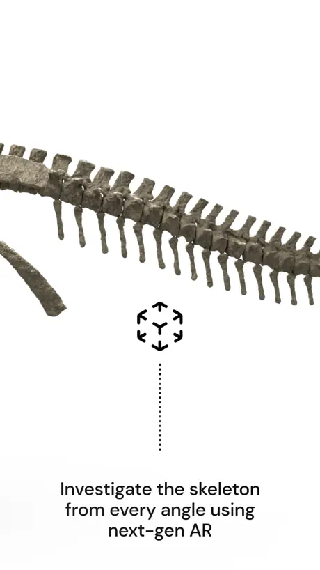 Famous Fossil