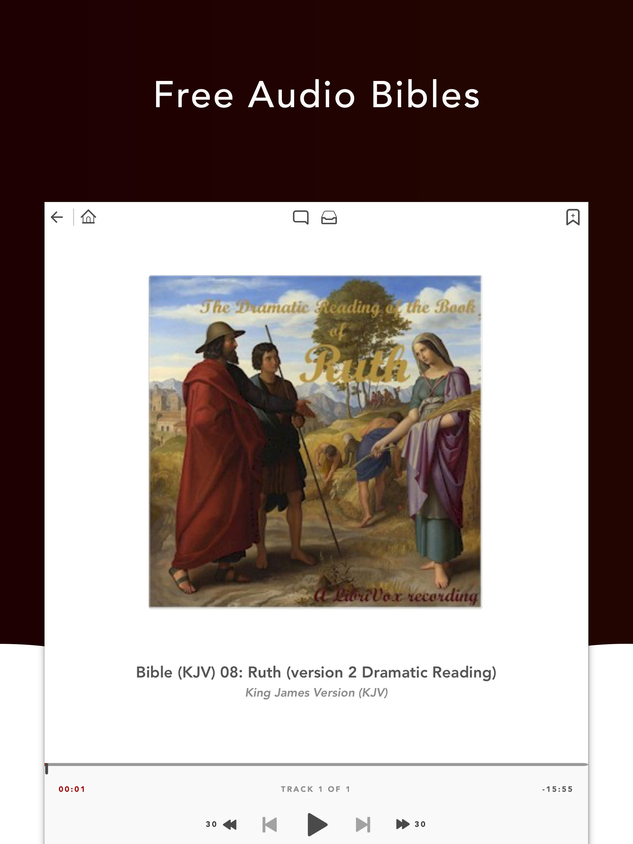 Audio Bibles screenshot 5