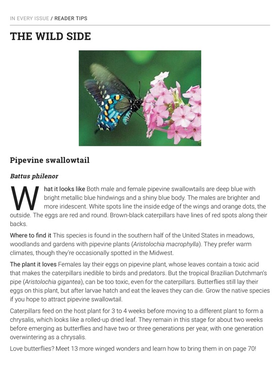 Garden Gate Magazine iPad screenshot 6 - Magazines & Newspapers app