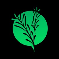 Тимьян и Розмарин | Russia pour PC