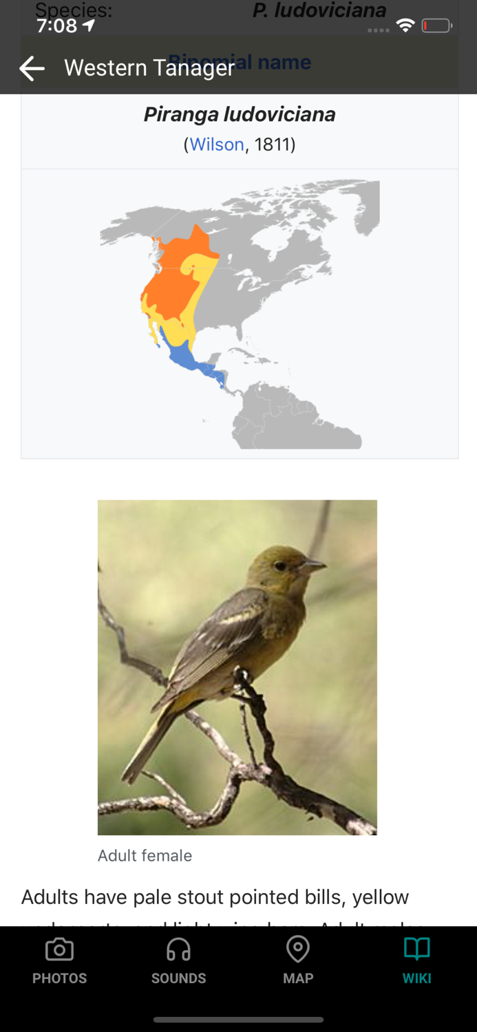 GoBird - Guide to Nearby Birds