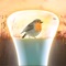 Hue Outdoor for Philips Hue is a beautiful soundscape collection with matching procedural light scripts that run alongside